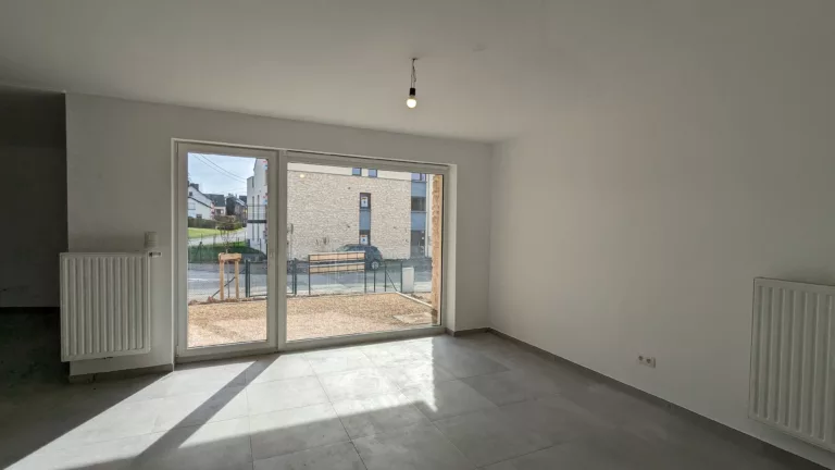 PXL_20240320_141600951