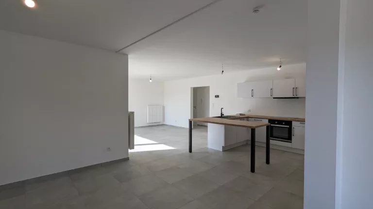 PXL_20240320_141623472