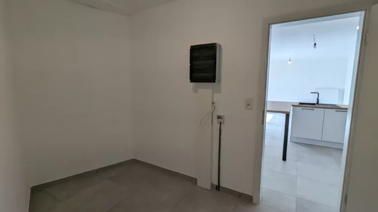 PXL_20240320_141637568