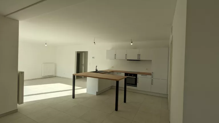 PXL_20240320_142027156