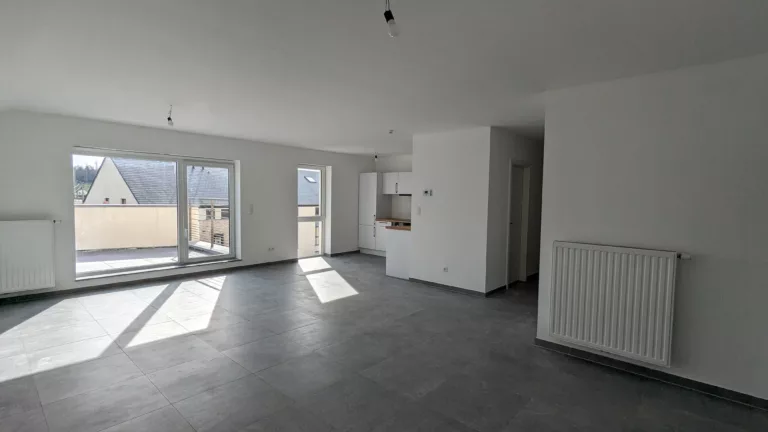 PXL_20240320_142355029